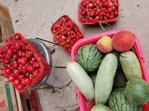 吃瓜娱乐圈怎么做,如何成为吃瓜群众中的高手