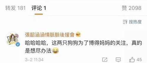 娱乐圈吃瓜笔记,娱乐圈八卦风云录