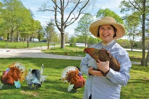 读心术娱乐圈顶流都跟着我吃瓜,娱乐圈顶流纷纷跟随我吃瓜
