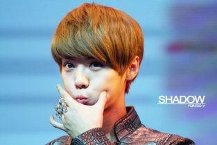 娱乐圈吃瓜鹅鹿晗,娱乐圈吃瓜鹅的蜕变之路