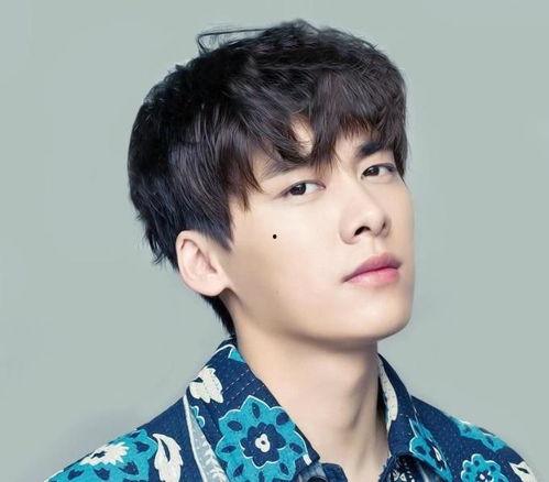 娱乐圈吃瓜文档李易峰,娱乐圈风云变幻中的璀璨明星