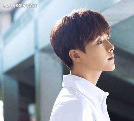 娱乐吃瓜君马天宇,娱乐圈的“吃瓜”达人，揭秘明星幕后故事