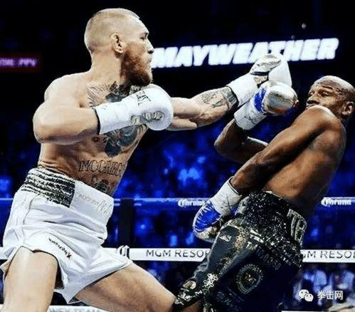 娱乐嘴炮吃瓜视频,吃瓜视频背后的精彩瞬间