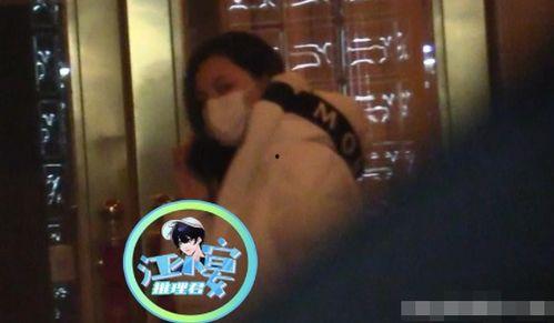 娱乐吃瓜 汪小菲是谁啊,汪小菲的星光之路与吃瓜热议