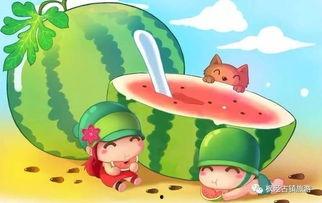 娱乐吃瓜小兔兔微博号,揭秘娱乐圈那些吃瓜趣事