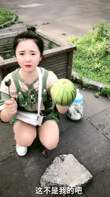 喵喵娱乐吃瓜,揭秘娱乐圈最新吃瓜大事件