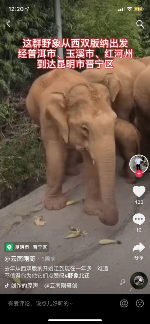 娱乐吃瓜酱见一面,一场意外的明星见面会