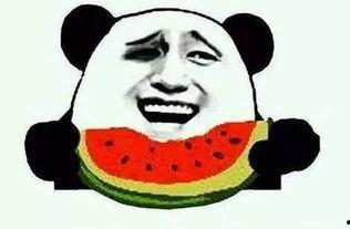 娱乐吃瓜手,揭秘明星幕后故事与吃瓜狂欢