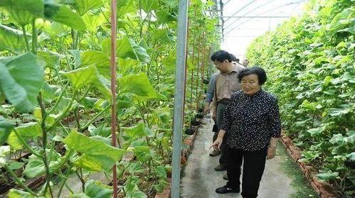 娱乐吃瓜场地图片真实,娱乐狂欢的视觉盛宴