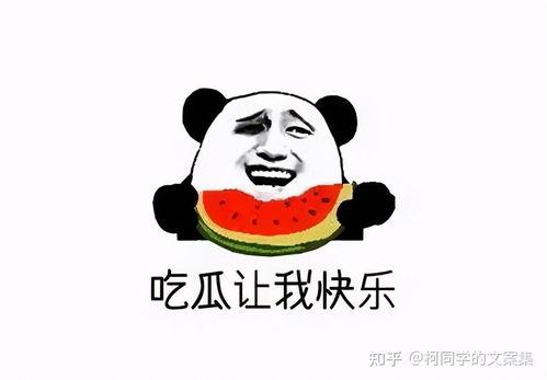 暴走熊猫人娱乐吃瓜,揭秘娱乐圈背后的那些事儿