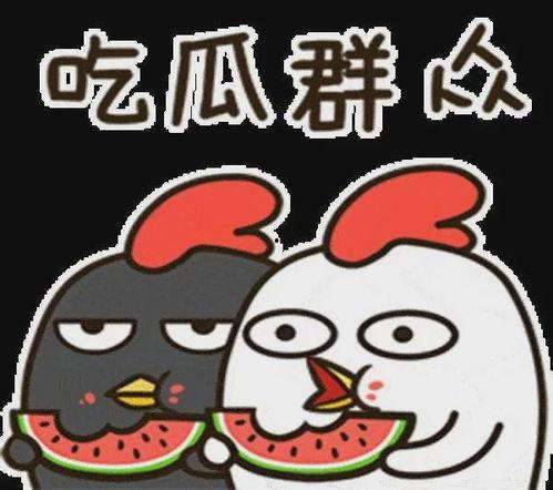 娱乐吃瓜小象微博,揭秘娱乐圈幕后故事